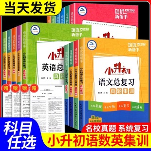 2025新版小升初语文数学英语总复习真题集训考前冲刺培优新帮手6六年级语文数学系统总复习知识导图小考前必刷题名校真题专题训练