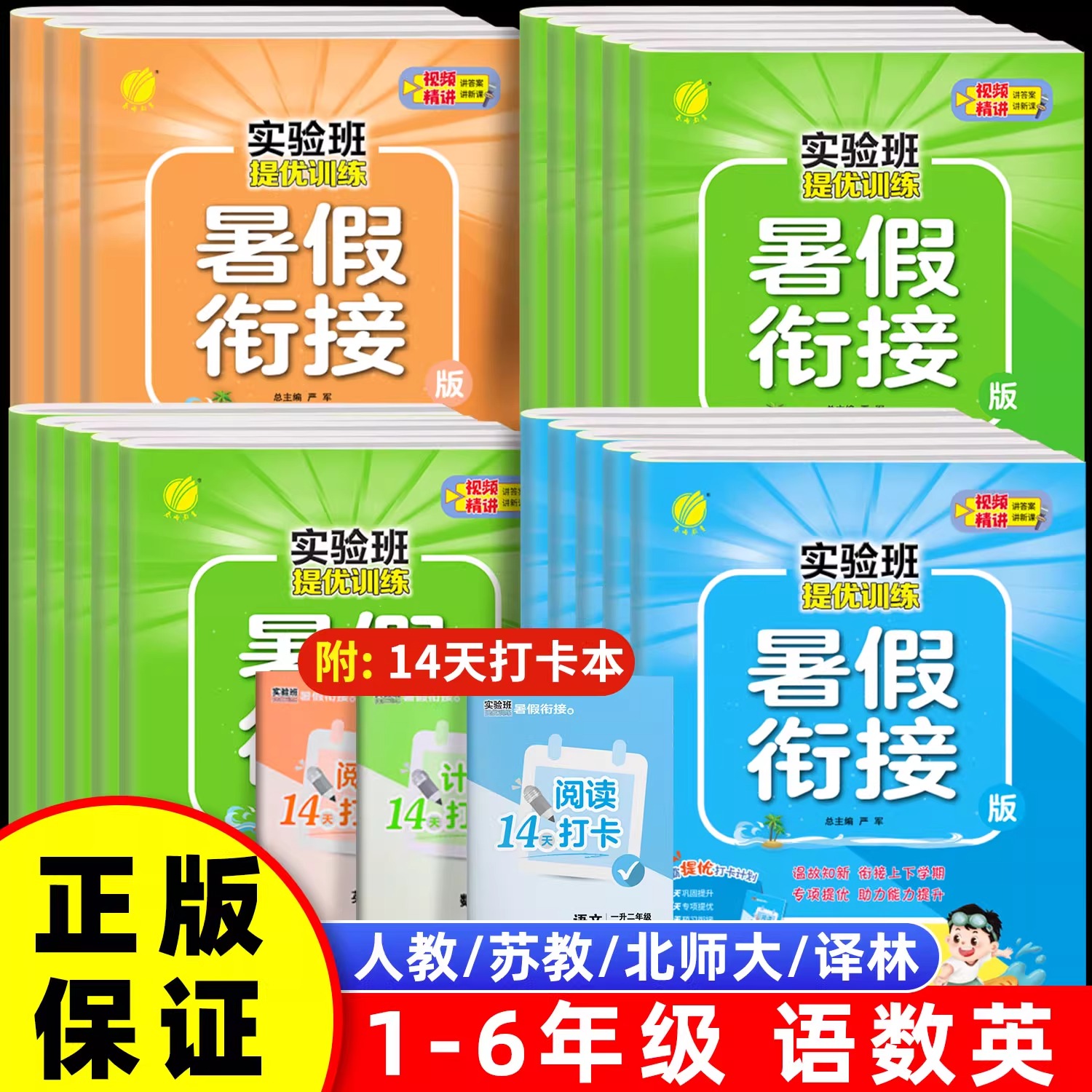 小学实验班提优训练暑假衔接