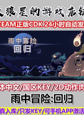 STEAM/雨中冒险回归/国区/中文