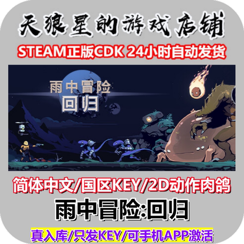 STEAM/雨中冒险回归/国区/中文