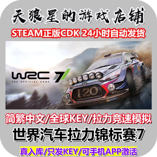 STEAM/世界汽车拉力锦标赛7/全球