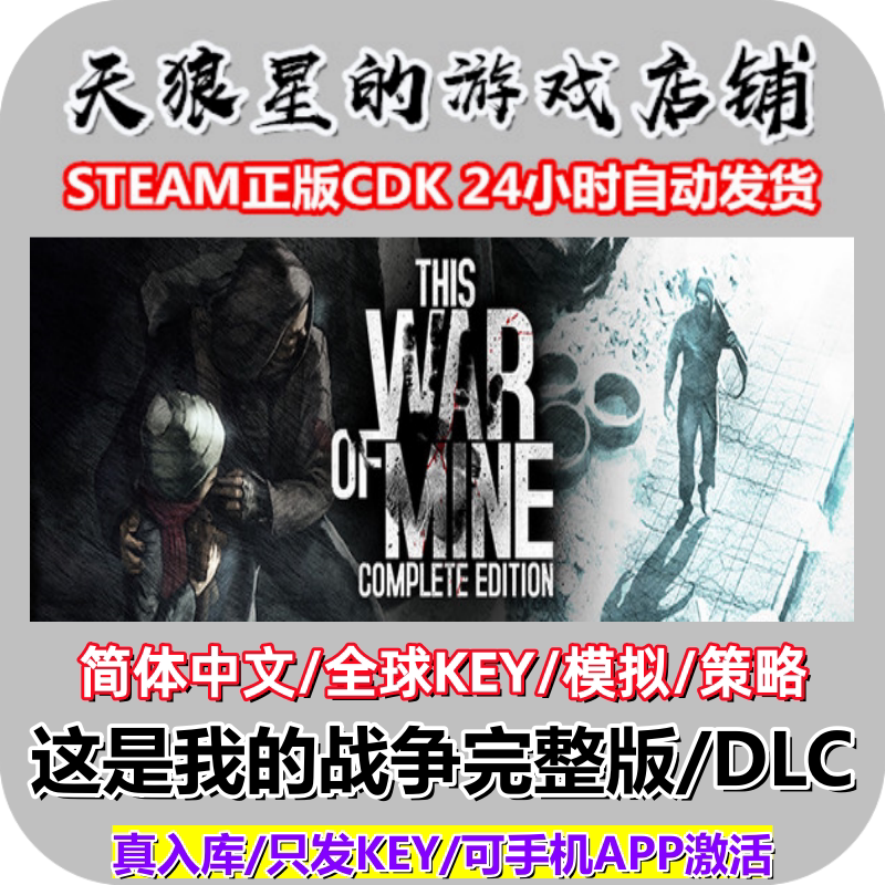 STEAM/这是我的战争完整版/DLC/This War of Mine/全球key/中文