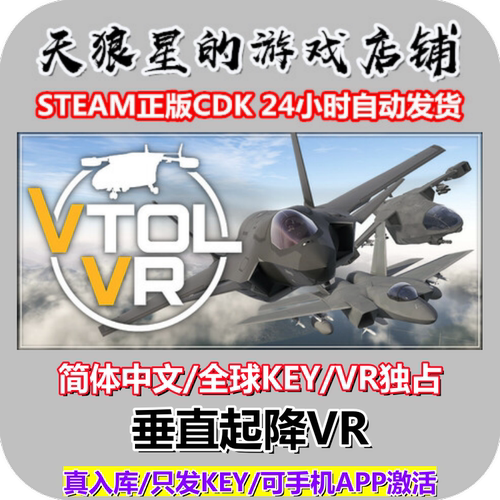 STEAM/垂直起降VR/全球key/中文