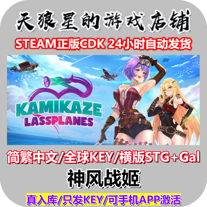 STEAM/神风战姬/Kamikaze Lassplanes/全球key/中文/STG+Gal,电玩/配件/游戏/攻略,STEAM,淘宝优惠券,粉丝福利购,淘宝优惠卷