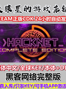 STEAM/黑客网络完整版/Hacknet Complete Edition/全球key/中文