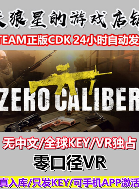 STEAM/零口径VR/VR独占/FPS