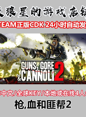 STEAM/枪,血和匪帮2/中文4人合作