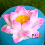 Трехмерная силиконовая форма, свеча, акриловый мусс