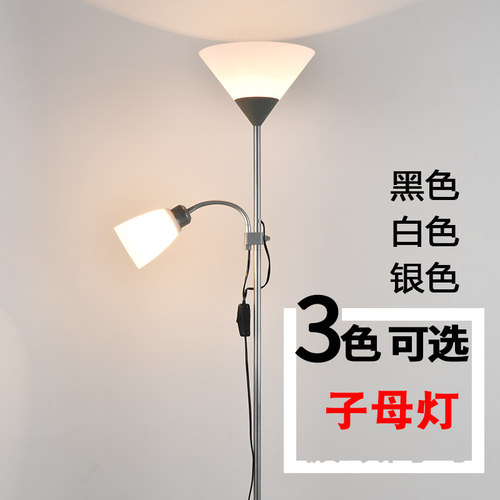 LED立灯落地灯卧室遥控创意客厅书房双头子母简约ins立式落地台灯 - 封面