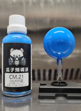 瓜子漆定制蓝飞劲轮胎