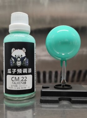 瓜子漆定制绿飞劲轮胎