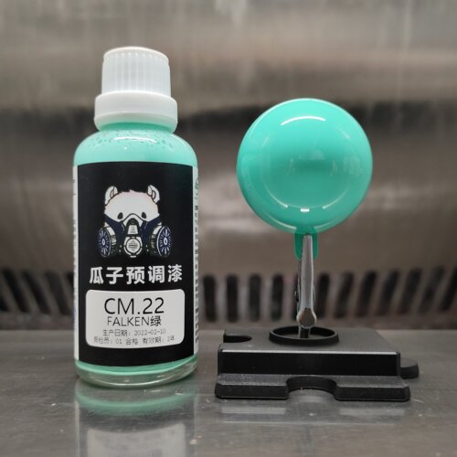瓜子漆定制绿飞劲轮胎