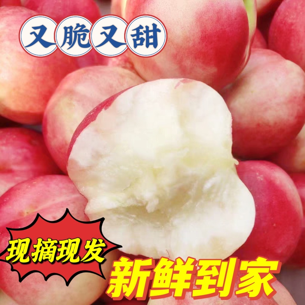 新鲜水果白心油桃现摘现发脆甜自家桃园应季当季白肉桃子5斤装
