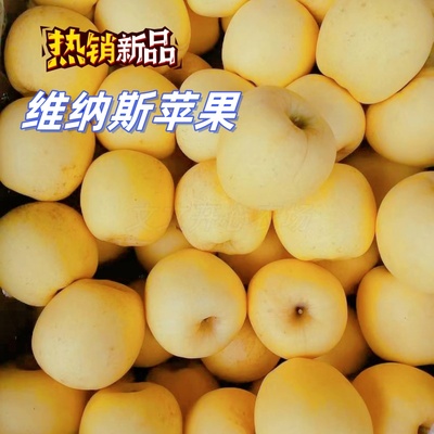 甘肃黄香蕉苹果粉糯香甜