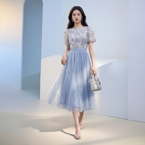 Women's Dress 高级感夏季短袖网纱刺绣连衣裙气质轻奢时尚优雅