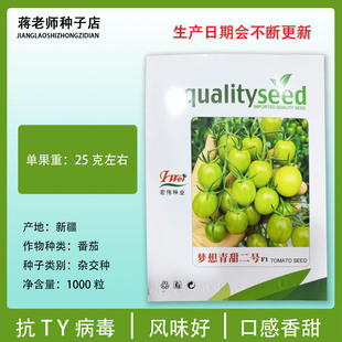 梦想清甜二号绿色樱桃小番茄种子专业户高档圣女果西红柿种籽种孑