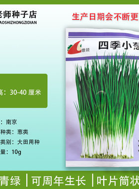云南四季小葱种子香葱种籽