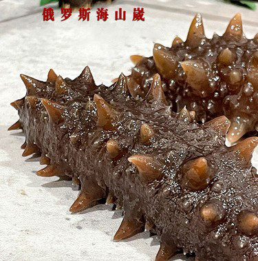 （足干新货）俄罗斯大头海参50头40头30头20头淡干16-20倍泡发率