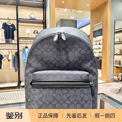 经典标志CHARTER背包