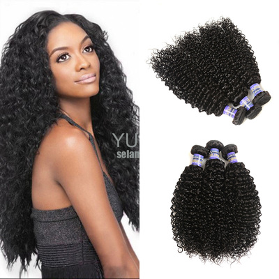 8A Indian Virgin Hair Curly Human Hair Weft  印度真人发帘