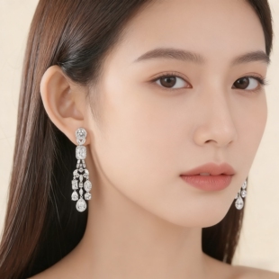 流苏轻奢新娘主婚纱晚礼服晚宴耳环日韩风格长款新娘耳环高级感