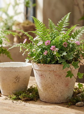 外贸logo多肉小花盆粗陶透气泥瓦盆红陶君子兰三角梅陶盆白陶红陶