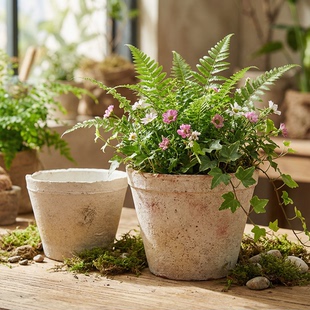 外贸logo多肉小花盆粗陶透气泥瓦盆红陶君子兰三角梅陶盆白陶红陶