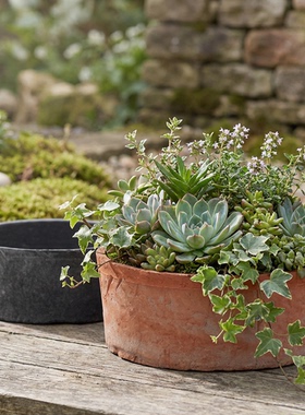 直央盆创意花盆矮大口径复古国际多肉盆种菜家用泥瓦盆育苗风信子