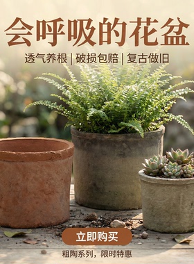 直小矮筒陶瓷花盆小多肉陶土盆老式瓦盆迷你红陶家用仙人掌陶盆黑