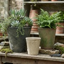 粗陶花盆复古瓦盆青山白陶盆多肉陶土盆黑色老式 红陶家用陶瓷盆小