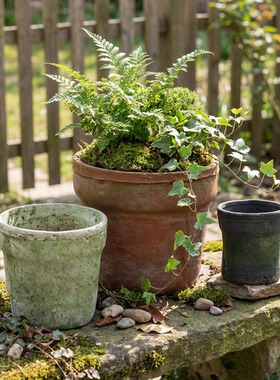 宽边口盆多肉红陶花盆简约兰花创意个性粗陶瓦盆控根专用阳台水仙