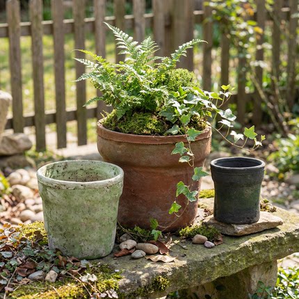 宽边口盆多肉红陶花盆简约兰花创意个性粗陶瓦盆控根专用阳台水仙