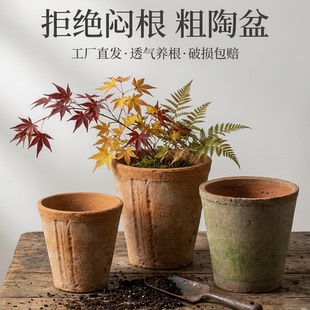 透气粗陶红陶花盆手工迷你多肉瓦盆创意绿萝陶土兰花黑陶 小高筒