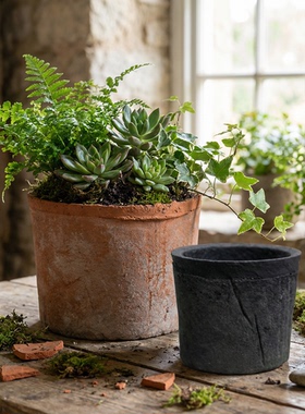 MrsTAO小花盆多肉粗陶手工陶瓷迷你蕨类陶盆菊花灰陶黑色文竹瓦盆