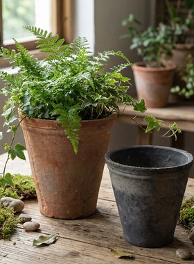 Mrstao红陶花盆多肉大号粗陶陶土透气泥瓦盆竹子高款黑色惠兰陶盆