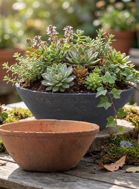 碗盆多肉花盆创意大号泥瓦盆做旧艺术素烧土陶园艺种菜育苗浅口