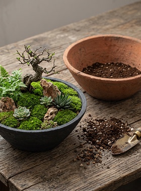 碗盆多肉花盆创意复古粗陶瓦盆陶土铜钱草大花盆老式透气专用陶盆