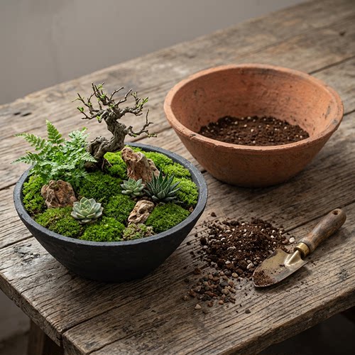 粗陶复古睡莲盆碗莲多肉花盆