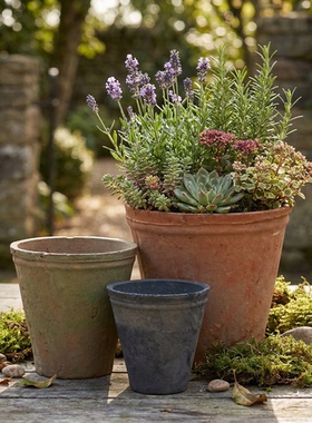 高双口粗陶花盆多肉透气创意简约老桩大号口径家用月季郁金香红陶