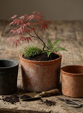 MrsTAO小花盆多肉粗陶手工陶瓷迷你蕨类陶盆菊花灰陶黑色文竹瓦盆