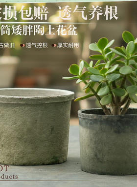 直小矮筒陶瓷花盆小多肉陶土盆老式瓦盆迷你红陶家用仙人掌陶盆黑