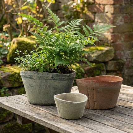 扁盆粗陶花盆多肉盆景陶盆陶土阳台月季吊兰青山盆大瓦盆植物专用
