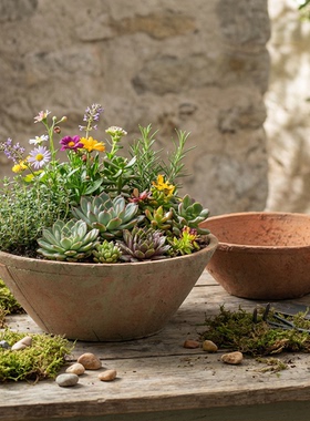 碗盆多肉花盆创意复古粗陶瓦盆陶土铜钱草大花盆老式透气专用陶盆