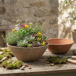 碗盆多肉花盆创意复古粗陶瓦盆陶土铜钱草大花盆老式 透气专用陶盆