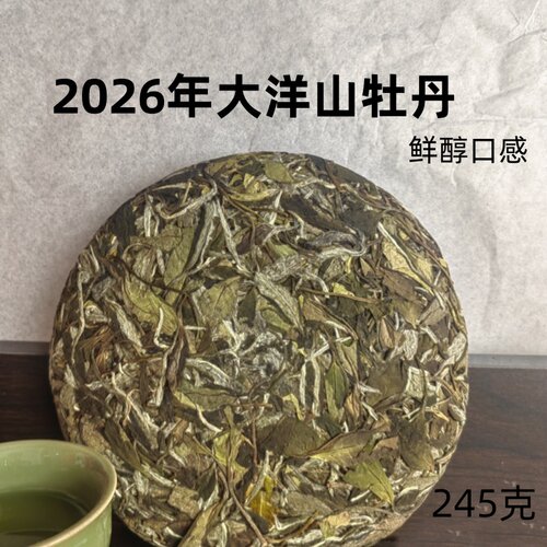 啊清和阿明家的茶 福鼎白茶 2026年大洋山白牡丹245克 鼎贝白茶