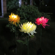 新品 饰LED清明节仿真花灯花园草坪灯 7头太阳能菊花灯户外庭院装