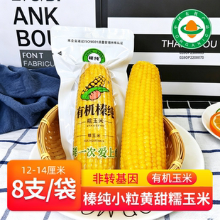 榛纯甜糯玉米棒新鲜香软非转基因有机种植铝箔真空包装东北小粒黄