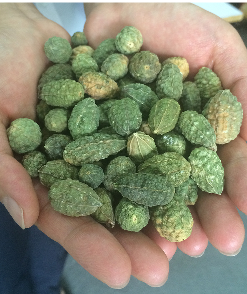 新疆野生野西瓜小西瓜正宗中药材泡酒料500g包邮腰腿关节