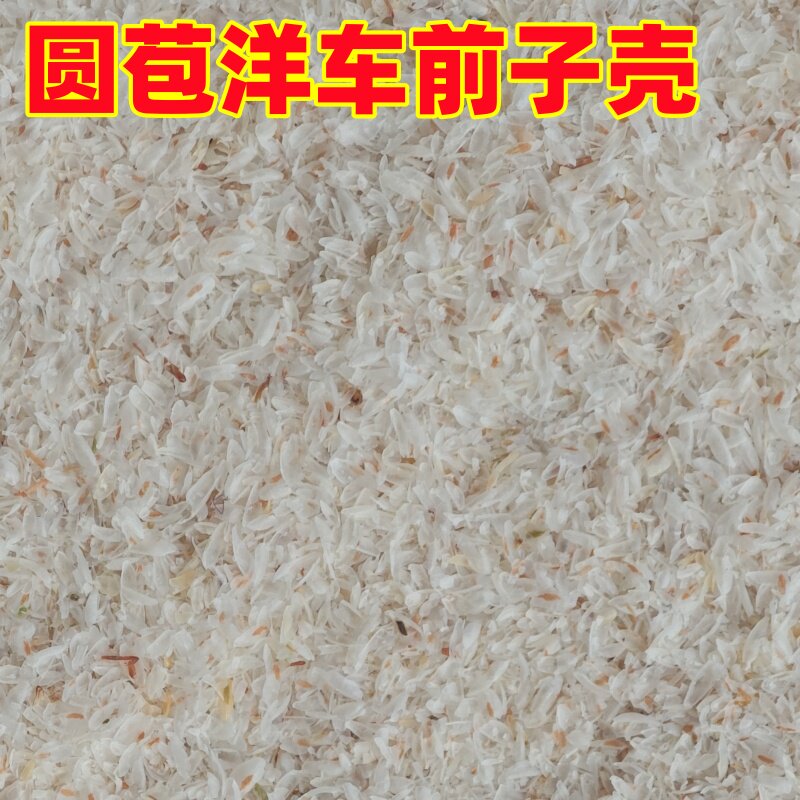 印度圆苞洋车前子壳粉膳食代餐