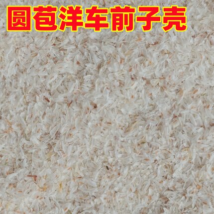 印度圆苞洋车前子壳粉圆苞车前子壳粉生酮 纤维粉西莲壳 膳食代餐